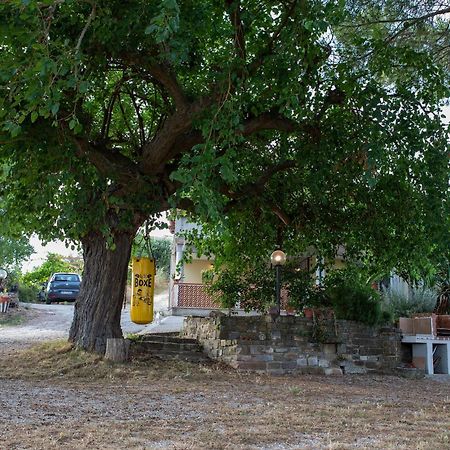 Casa Vacanze Diamante Ogliastro Cilento Eksteriør billede
