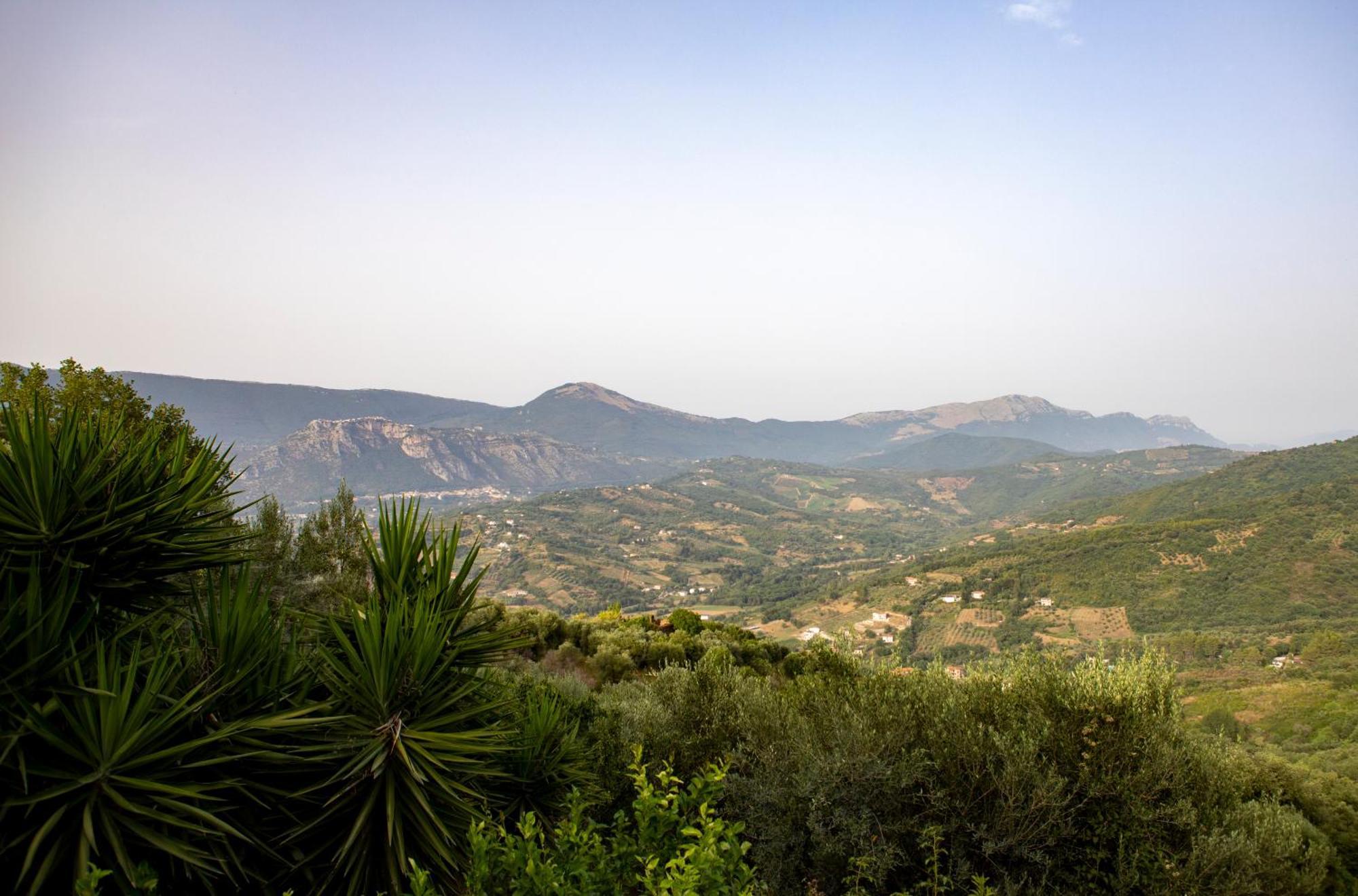 Casa Vacanze Diamante Ogliastro Cilento Eksteriør billede