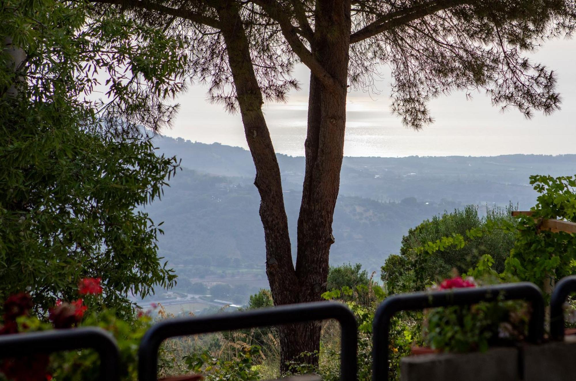 Casa Vacanze Diamante Ogliastro Cilento Eksteriør billede