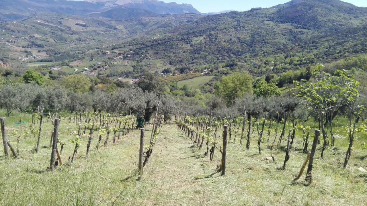 Casa Vacanze Diamante Ogliastro Cilento Eksteriør billede