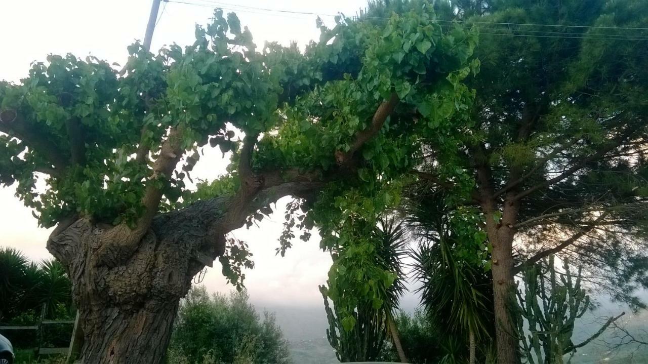 Casa Vacanze Diamante Ogliastro Cilento Eksteriør billede