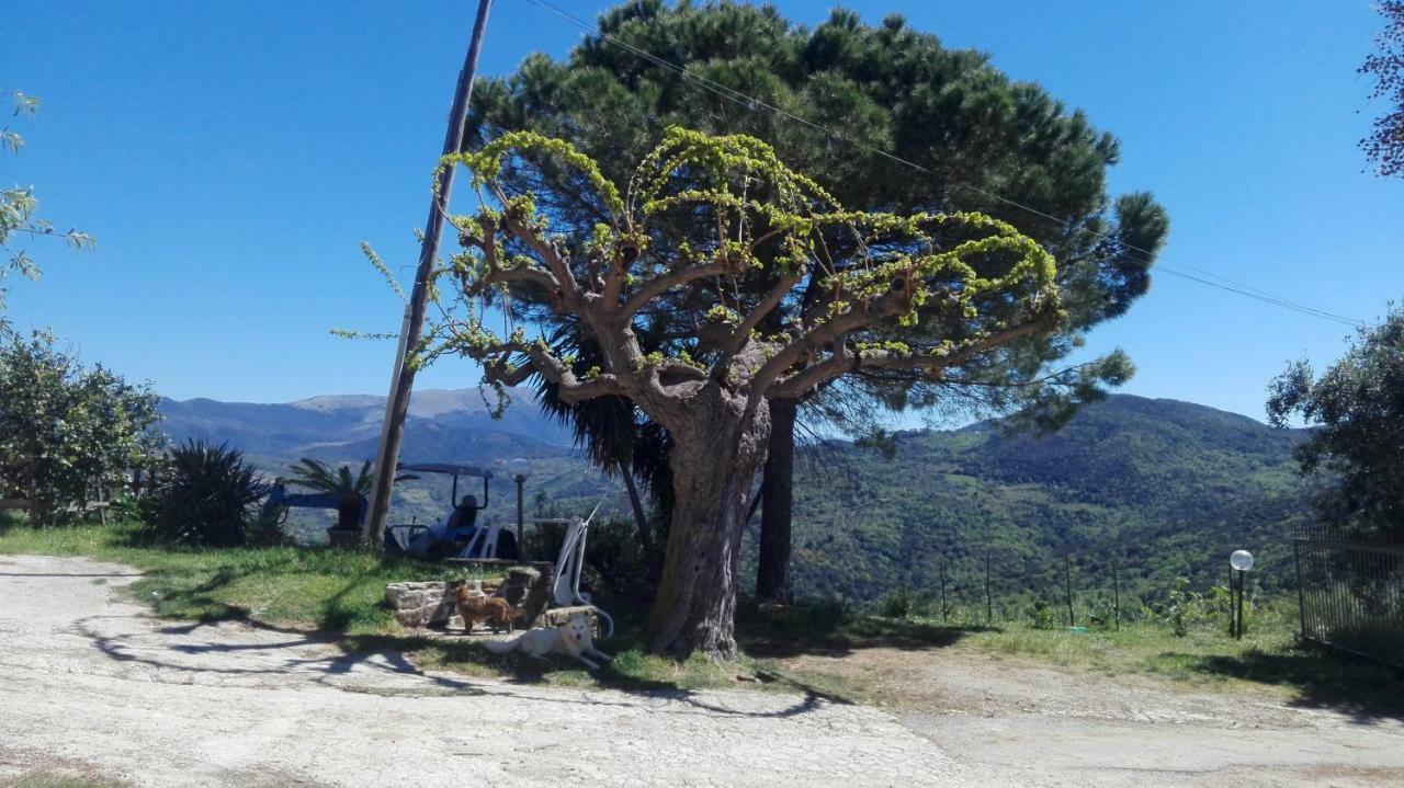 Casa Vacanze Diamante Ogliastro Cilento Eksteriør billede